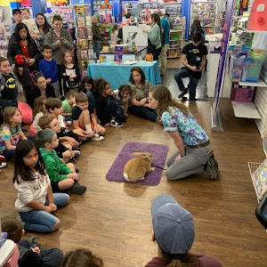 Once In A Wild Zoo place picture