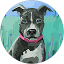 StaticNoise profile picture