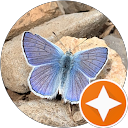 Sophie K profile picture