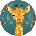 Yuxiao Feng profile picture