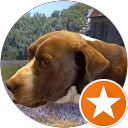 Ren Henry profile picture