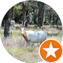 Al Priest profile picture