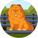 Trang Thùy profile picture