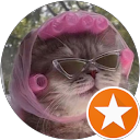 Maria Skevofilax profile picture