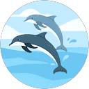 Darcee Douglas profile picture