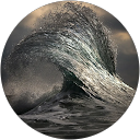 Mack Webb profile picture