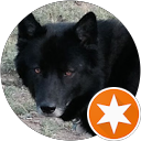 P& B profile picture