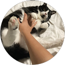 Cheryl Harrington Wrencher profile picture