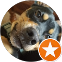 david unfried profile picture