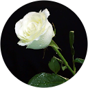 Mahammmd Mustafa profile picture