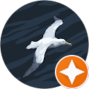 Nira Khurana profile picture