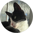 Emily Han profile picture