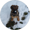 David Brueckner profile picture