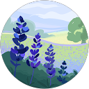 bailey s profile picture