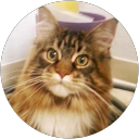 Manchaca Road Animal Hospital (MRAH) profile picture